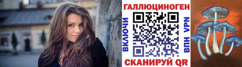 shop официальный сайт  blacksprut ссылка  Баксан  Галлюциногенные грибы Psilocybe 